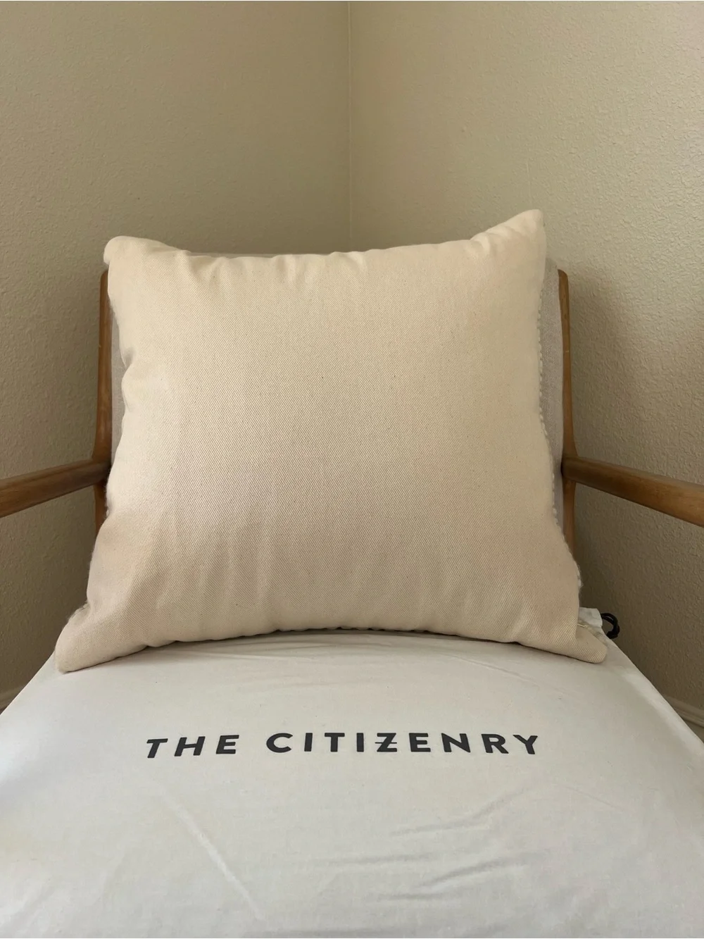 The Citizenry Ocaso Pillow (20in x 20in)